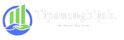 Tipsuangbijak.com